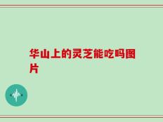 华山上的灵芝能吃吗图片