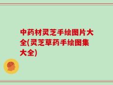 中药材灵芝手绘图片大全(灵芝草药手绘图集大全)