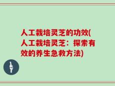 人工栽培灵芝的功效(人工栽培灵芝：探索有效的养生急救方法)