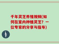 千年灵芝养殖视频(如何在室内种植灵芝？一位专家的分享与指导)