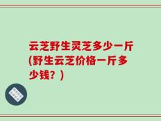 云芝野生灵芝多少一斤(野生云芝价格一斤多少钱？)