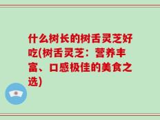 什么树长的树舌灵芝好吃(树舌灵芝：营养丰富、口感极佳的美食之选)