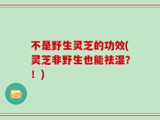 不是野生灵芝的功效(灵芝非野生也能祛湿？！)