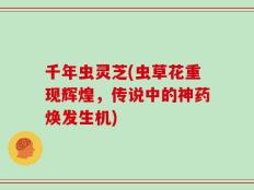 千年虫灵芝(虫草花重现辉煌，传说中的神药焕发生机)