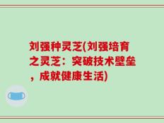 刘强种灵芝(刘强培育之灵芝：突破技术壁垒，成就健康生活)