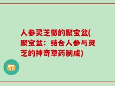 人参灵芝做的聚宝盆(聚宝盆：结合人参与灵芝的神奇草药制成)