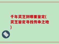 千年灵芝到哪里鉴定(灵芝鉴定寻找传承之地)