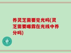 养灵芝需要见光吗(灵芝需要曝露在光线中养分吗)