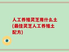人工养殖灵芝用什么土(最佳灵芝人工养殖土配方)