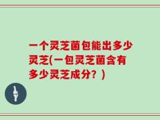 一个灵芝菌包能出多少灵芝(一包灵芝菌含有多少灵芝成分？)