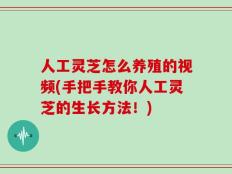 人工灵芝怎么养殖的视频(手把手教你人工灵芝的生长方法！)