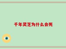 千年灵芝为什么会死