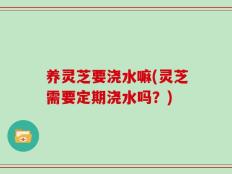 养灵芝要浇水嘛(灵芝需要定期浇水吗？)