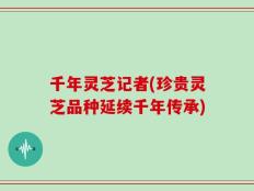 千年灵芝记者(珍贵灵芝品种延续千年传承)
