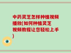 中药灵芝怎样种植视频播放(如何种植灵芝 视频教程让您轻松上手)