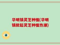 华明镇灵芝种植(华明镇掀起灵芝种植热潮)
