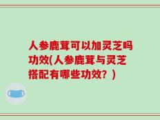 人参鹿茸可以加灵芝吗功效(人参鹿茸与灵芝搭配有哪些功效？)