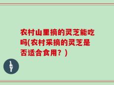 农村山里摘的灵芝能吃吗(农村采摘的灵芝是否适合食用？)