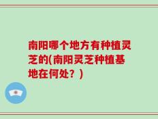 南阳哪个地方有种植灵芝的(南阳灵芝种植基地在何处？)