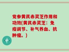 党参黄芪赤灵芝作用和功效(黄芪赤灵芝：免疫调节、补气养血、抗肿瘤。)