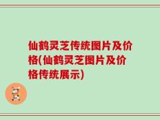 仙鹤灵芝传统图片及价格(仙鹤灵芝图片及价格传统展示)