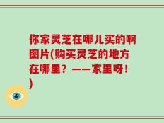 你家灵芝在哪儿买的啊图片(购买灵芝的地方在哪里？——家里呀！)