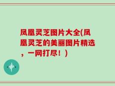 凤凰灵芝图片大全(凤凰灵芝的美丽图片精选，一网打尽！)