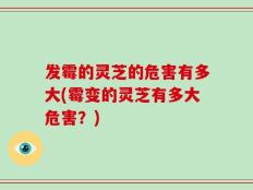 发霉的灵芝的危害有多大(霉变的灵芝有多大危害？)