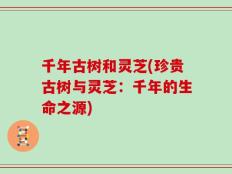 千年古树和灵芝(珍贵古树与灵芝：千年的生命之源)