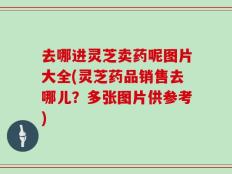 去哪进灵芝卖药呢图片大全(灵芝药品销售去哪儿？多张图片供参考)