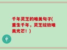 千年灵芝的唯美句子(重生千年，灵芝绽放唯美光芒！)