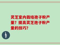 灵芝室内栽培孢子粉产量？提高灵芝孢子粉产量的技巧？