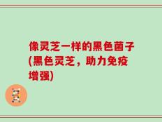 像灵芝一样的黑色菌子(黑色灵芝，助力免疫增强)