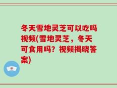 冬天雪地灵芝可以吃吗视频(雪地灵芝，冬天可食用吗？视频揭晓答案)