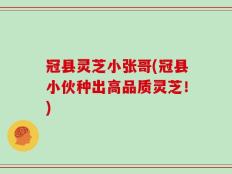 冠县灵芝小张哥(冠县小伙种出高品质灵芝！)