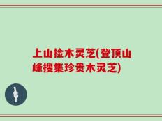 上山捡木灵芝(登顶山峰搜集珍贵木灵芝)
