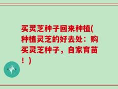 买灵芝种子回来种植(种植灵芝的好去处：购买灵芝种子，自家育苗！)
