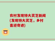 农村发现特大灵芝新闻(发现特大灵芝，乡村喜迎奇迹)