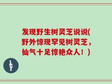 发现野生树灵芝说说(野外惊现罕见树灵芝，仙气十足惊艳众人！)