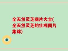 全天然灵芝图片大全(全天然灵芝的壮观图片集锦)