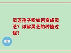 灵芝孢子粉如何变成灵芝？详解灵芝的种植过程？