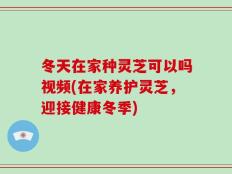 冬天在家种灵芝可以吗视频(在家养护灵芝，迎接健康冬季)