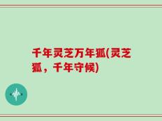 千年灵芝万年狐(灵芝狐，千年守候)