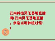 云南种植灵芝基地直播间(云南灵芝基地直播，亲临当地种植过程！)