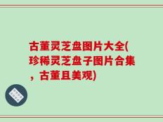 古董灵芝盘图片大全(珍稀灵芝盘子图片合集，古董且美观)