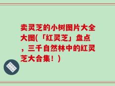卖灵芝的小树图片大全大图(「红灵芝」盘点，三千自然林中的红灵芝大合集！)