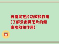 云南灵芝片功效和作用(了解云南灵芝片的健康功效和作用)