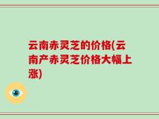 云南赤灵芝的价格(云南产赤灵芝价格大幅上涨)