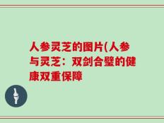 人参灵芝的图片(人参与灵芝：双剑合璧的健康双重保障