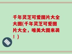 千年灵芝可爱图片大全大图(千年灵芝可爱图片大全，唯美大图来袭！)
